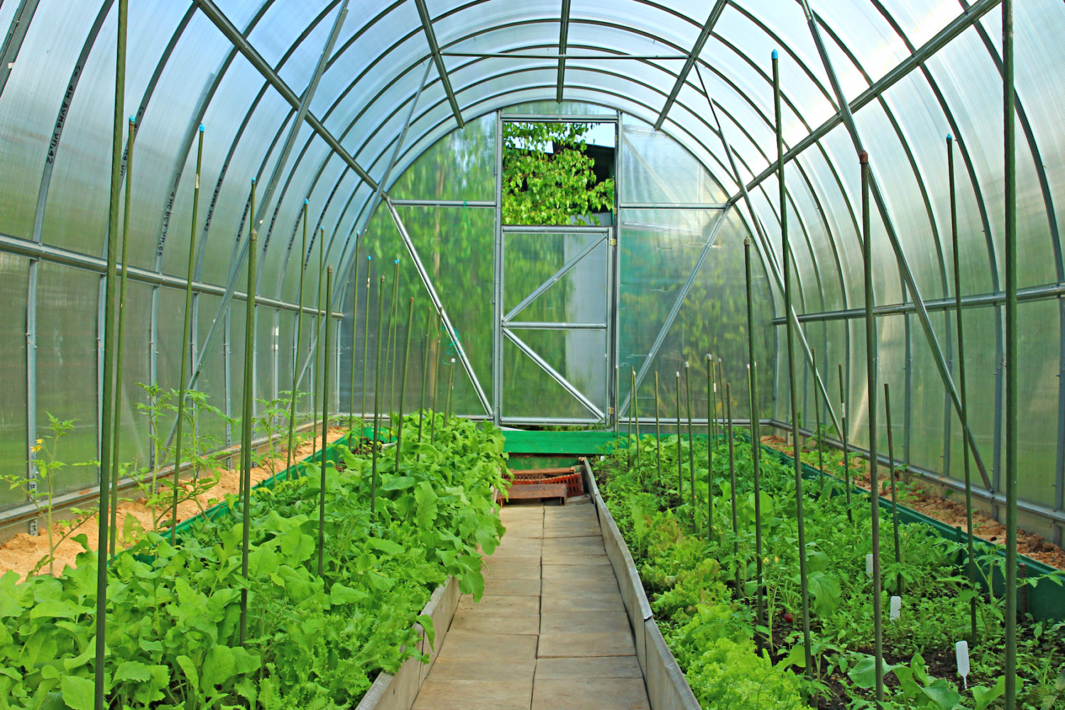 Polycarbonate Panels For Greenhouses - Domer