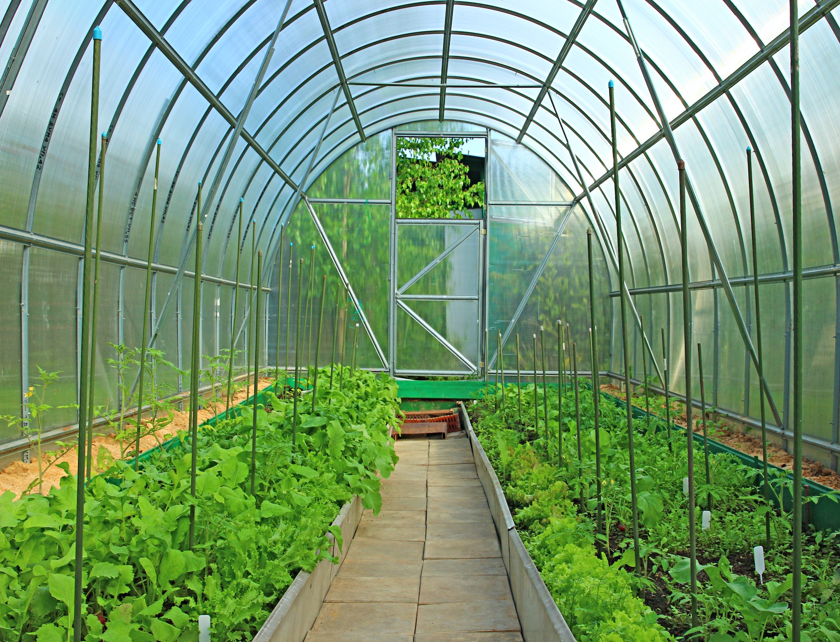 Polycarbonate Panels For Greenhouses - Domer